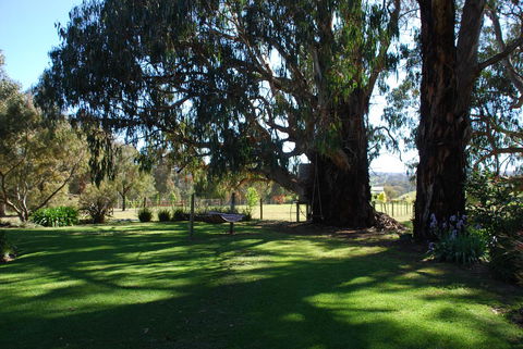 Bluegum Ridge Cottages - Accommodation Mount Tamborine 29