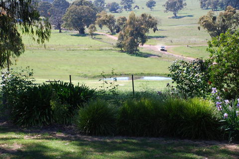 Bluegum Ridge Cottages - Accommodation Mount Tamborine 30