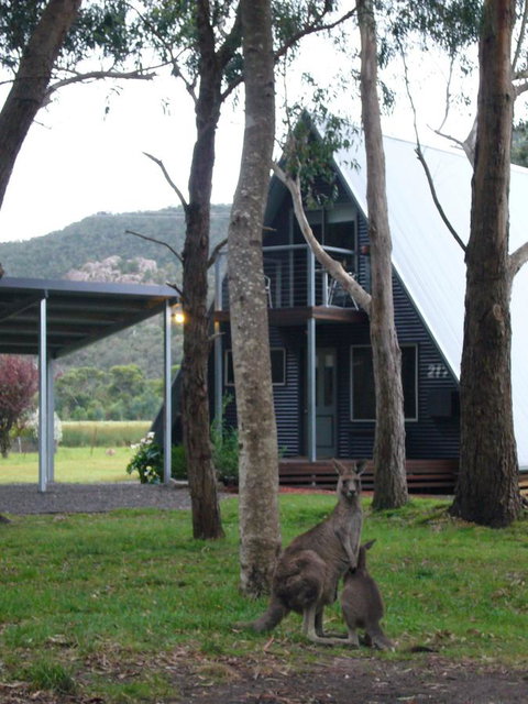 The A-Frame - Accommodation Mount Tamborine 1