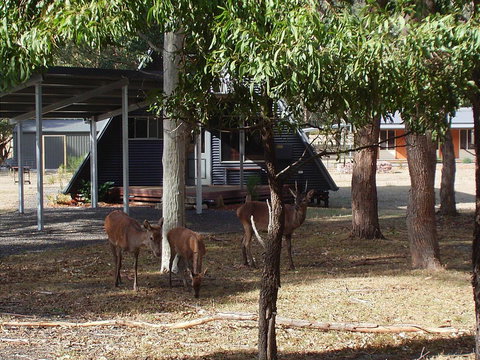 The A-Frame - Accommodation Mount Tamborine 13