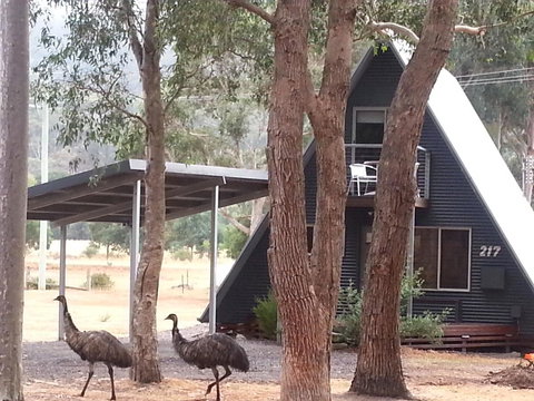 The A-Frame - Accommodation Mount Tamborine 9