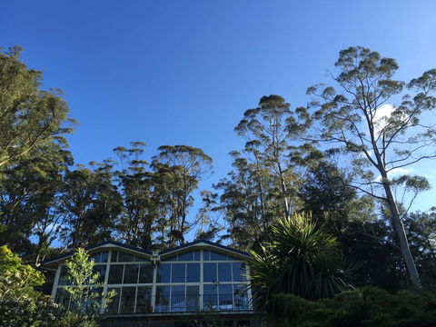 The Dan - Accommodation Mount Tamborine 17