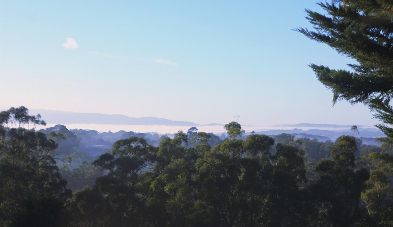  Accommodation Mount Tamborine