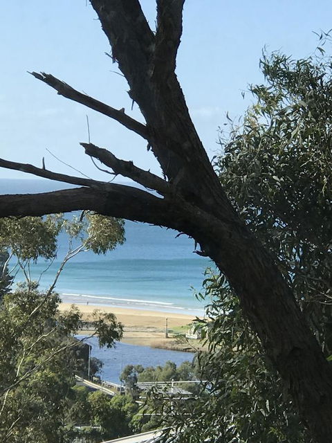 Lorne Sea View Terrace House - Accommodation Mount Tamborine 12