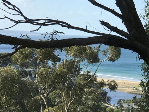 Lorne Sea View Terrace House - Accommodation Mount Tamborine 10