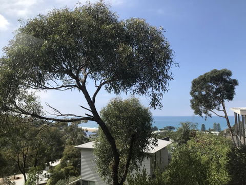 Lorne Sea View Terrace House - Accommodation Mount Tamborine 26