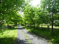 Book Wonga Park Accommodation Vacations Accommodation Mount Tamborine Accommodation Mount Tamborine