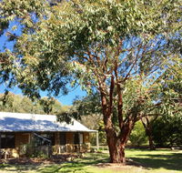 Grampians Pomonal Cottages - Accommodation Mount Tamborine
