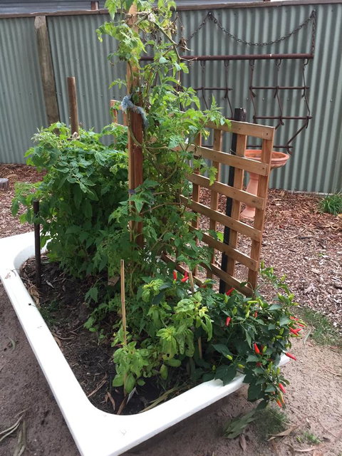 Grampians Pomonal Cottages - Accommodation Mount Tamborine 28