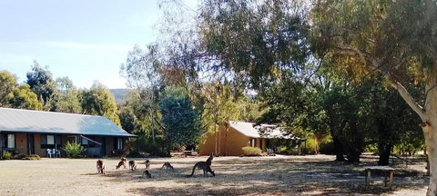 Grampians Pomonal Cottages - Accommodation Mount Tamborine 6