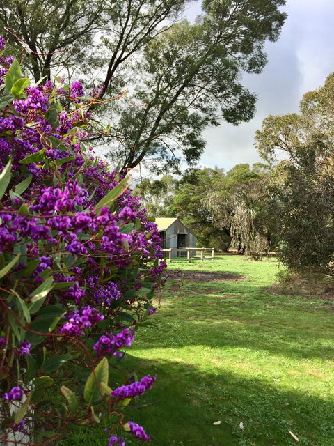 Grampians Pomonal Cottages - Accommodation Mount Tamborine 21