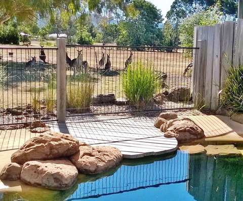 Grampians Pomonal Cottages - Accommodation Mount Tamborine 24