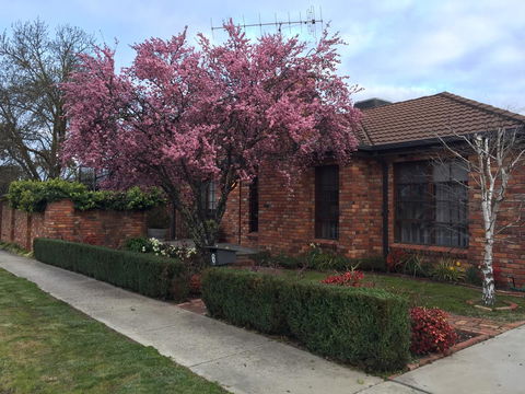 Bricks And Roses - Accommodation Mount Tamborine 2