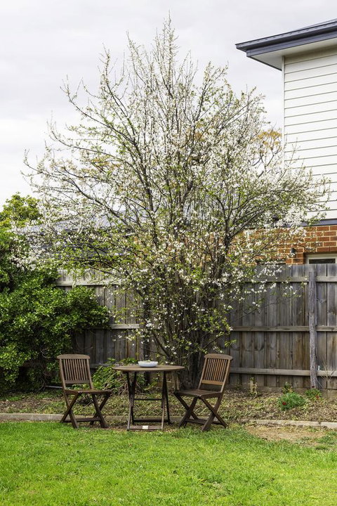 Bacchus Centro - Accommodation Mount Tamborine 9