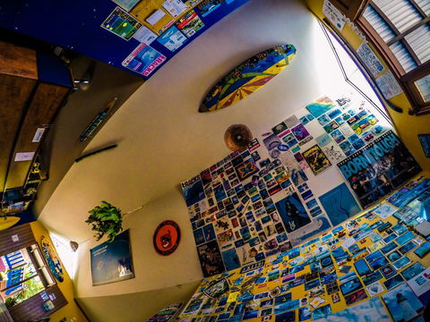 Cool Bananas Backpackers - Accommodation Mount Tamborine 29