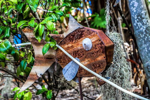 Cool Bananas Backpackers - Accommodation Mount Tamborine 24