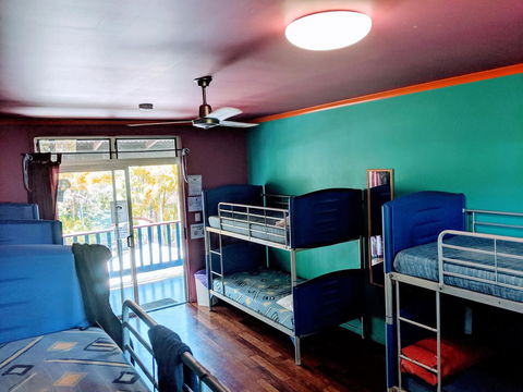 Cool Bananas Backpackers - Accommodation Mount Tamborine 5