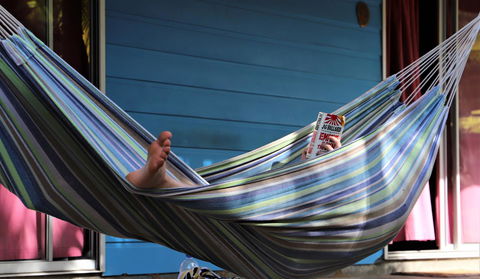 Cool Bananas Backpackers - Accommodation Mount Tamborine 3