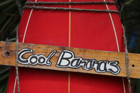 Cool Bananas Backpackers - Accommodation Mount Tamborine 41