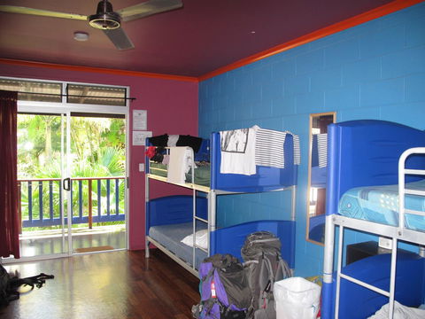 Cool Bananas Backpackers - Accommodation Mount Tamborine 43