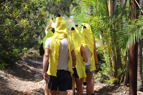 Cool Bananas Backpackers - Accommodation Mount Tamborine 19