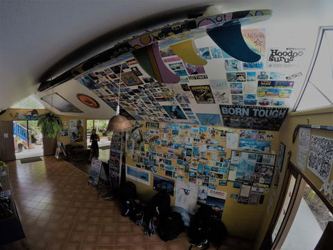 Cool Bananas Backpackers - Accommodation Mount Tamborine 31