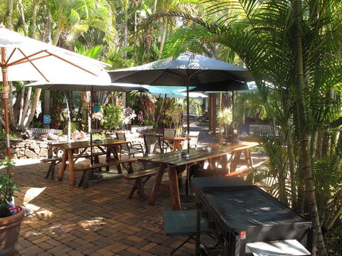 Cool Bananas Backpackers - Accommodation Mount Tamborine 16