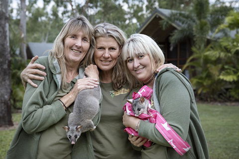 Airlie Beach Eco Cabins - Adults Only - Accommodation Mount Tamborine 23
