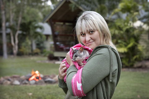 Airlie Beach Eco Cabins - Adults Only - Accommodation Mount Tamborine 31