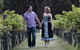 Granite Belt Retreat And Brewery - thumb 26