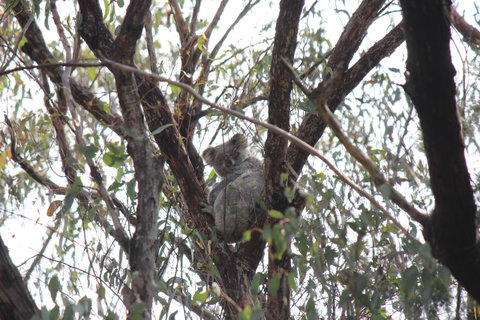 Granite Belt Retreat And Brewery - Accommodation Mount Tamborine 20