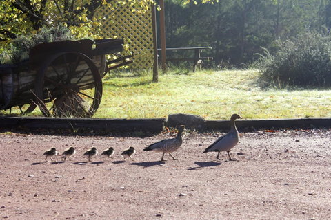 Granite Belt Retreat And Brewery - Accommodation Mount Tamborine 22