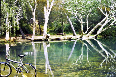 Oshen Holiday Apartments Yeppoon - Accommodation Mount Tamborine 28