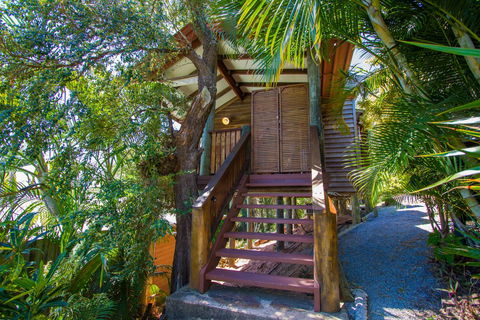 1770 Beach Shacks - Accommodation Mount Tamborine 3