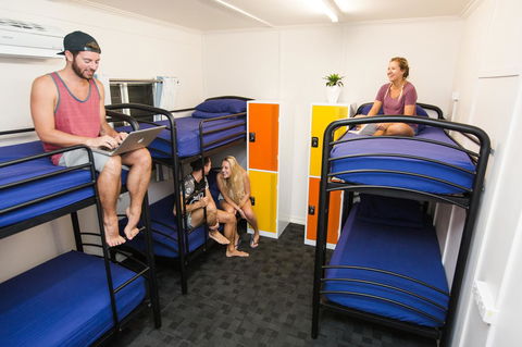 Mad Monkey Central - Accommodation Mount Tamborine 21