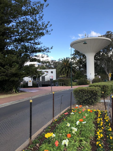 Picnic Point Villas - Accommodation Mount Tamborine 5