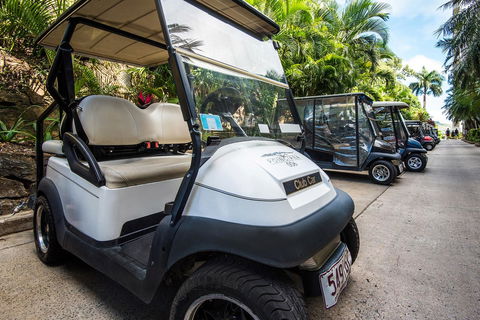 Beach Lodges - Accommodation Mount Tamborine 40