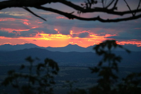 The Polish Place - Accommodation Mount Tamborine 4