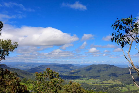 The Polish Place - Accommodation Mount Tamborine 10
