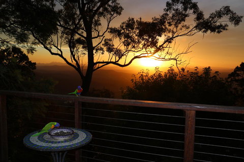 The Polish Place - Accommodation Mount Tamborine 17