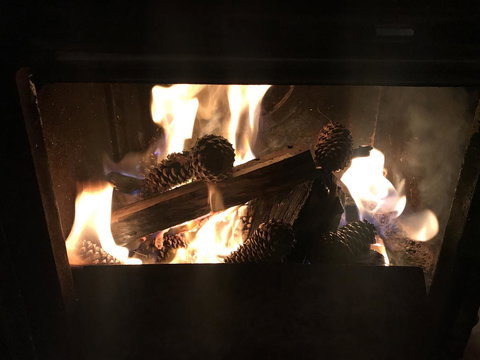 The Polish Place - Accommodation Mount Tamborine 7