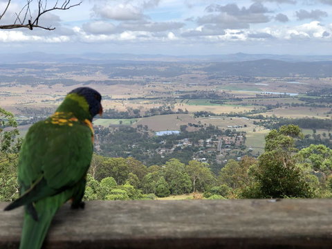 The Polish Place - Accommodation Mount Tamborine 6