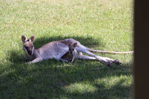 The Hideaway Agnes Water (Adults Only) - Accommodation Mount Tamborine 42