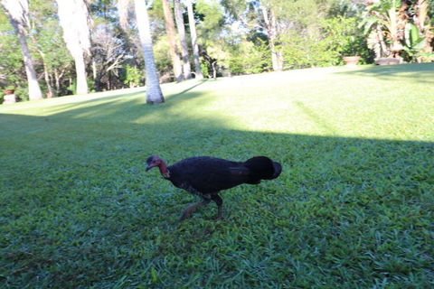 The Hideaway Agnes Water (Adults Only) - Accommodation Mount Tamborine 41