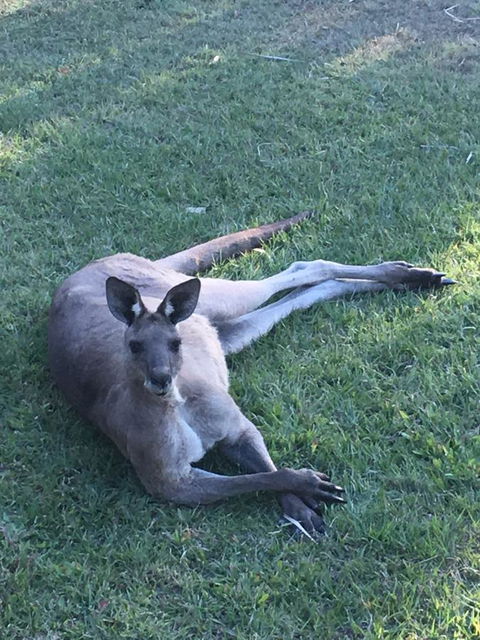 The Hideaway Agnes Water (Adults Only) - Accommodation Mount Tamborine 33