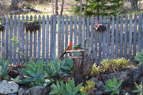 The Hideaway Agnes Water (Adults Only) - Accommodation Mount Tamborine 40