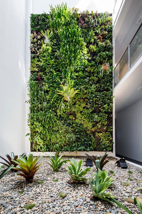 Sage Hotel James Street - Accommodation Mount Tamborine 3