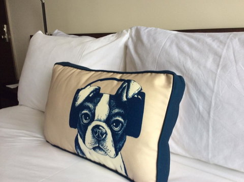 Hyatt Regency Brisbane - Accommodation Mount Tamborine 23