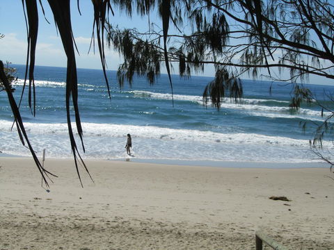 Le Beach Apartments - Accommodation Mount Tamborine 16