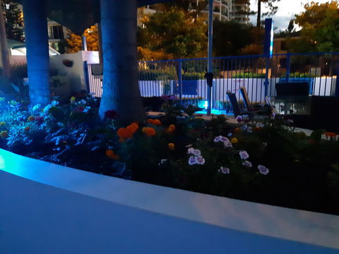 Surfers Beach Resort One - Accommodation Mount Tamborine 9